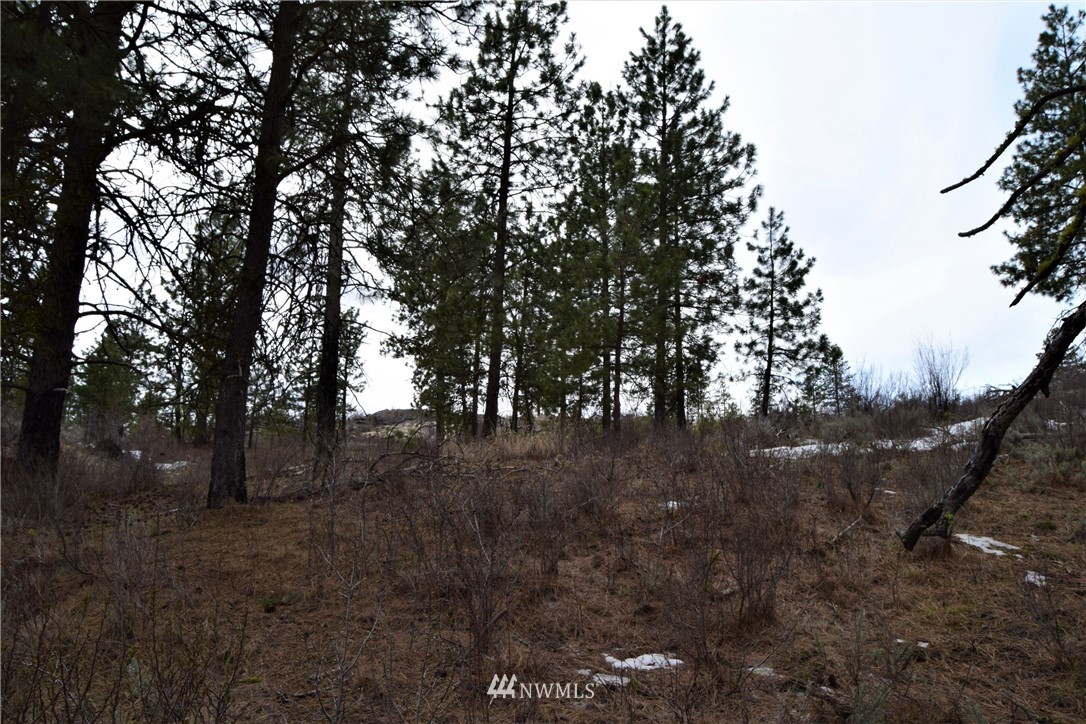 223 Q Cameron Lake Loop Road Okanogan, WA 98840 - Photo 27 of 30 Gallery Image 27