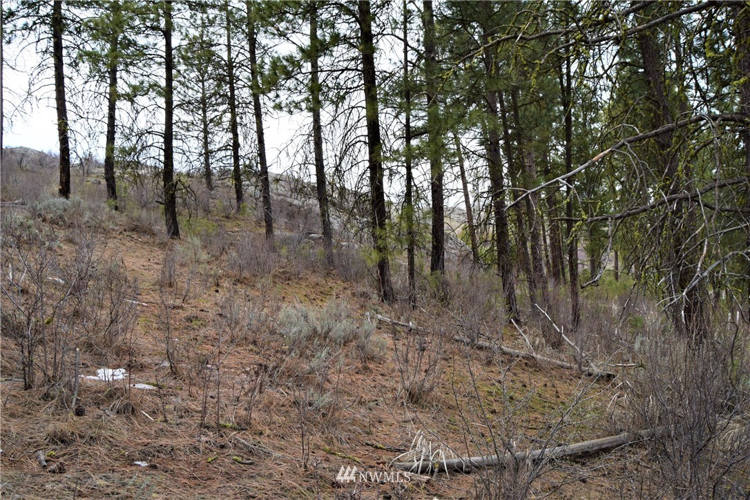 223 Q Cameron Lake Loop Road Okanogan, WA 98840 - Photo 28 of 30 Gallery Image 28