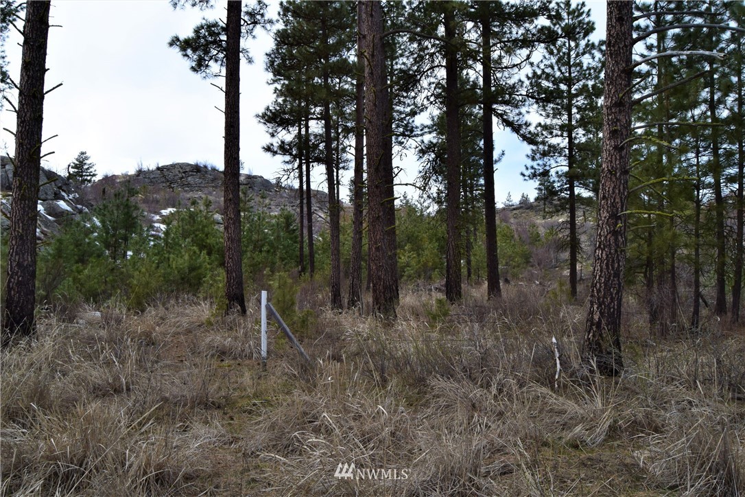 223 Q Cameron Lake Loop Road Okanogan, WA 98840 - Photo 29 of 30 Gallery Image 29