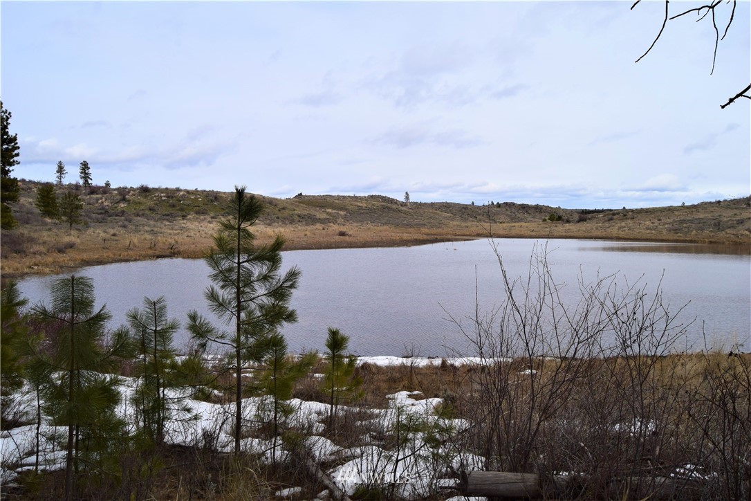223 Q Cameron Lake Loop Road Okanogan, WA 98840 - Photo 10 of 30 Gallery Image 10