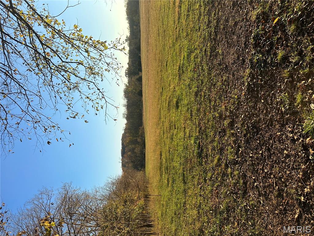 ... Choctaw Road Rogersville, MO 65742 - Photo 2 of 4