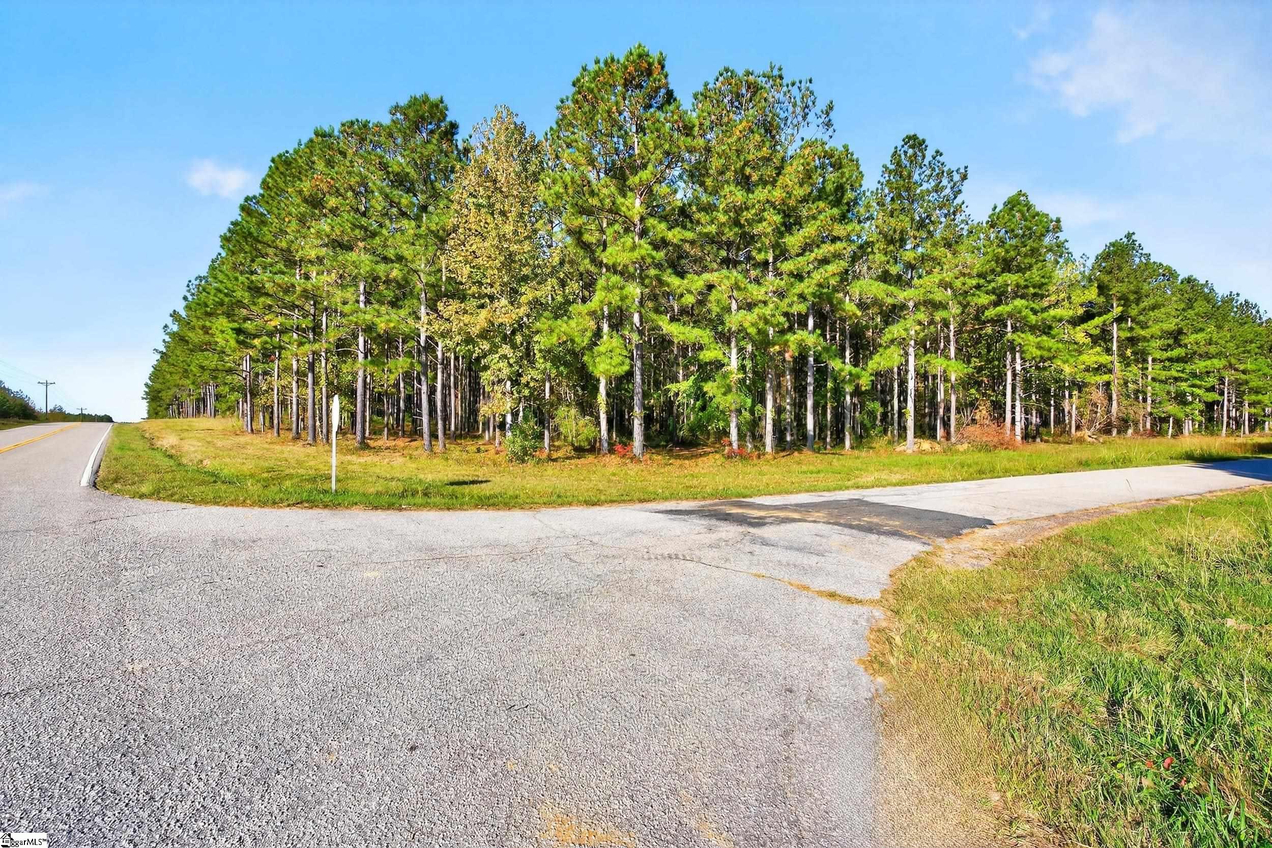 8 Garlington Road Cross Hill, SC 29332 - Photo 11 of 13