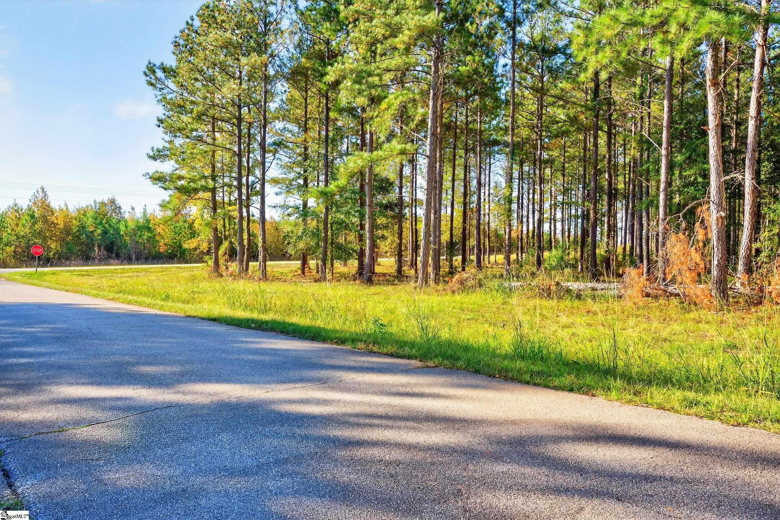 8 Garlington Road Cross Hill, SC 29332 - Photo 12 of 13