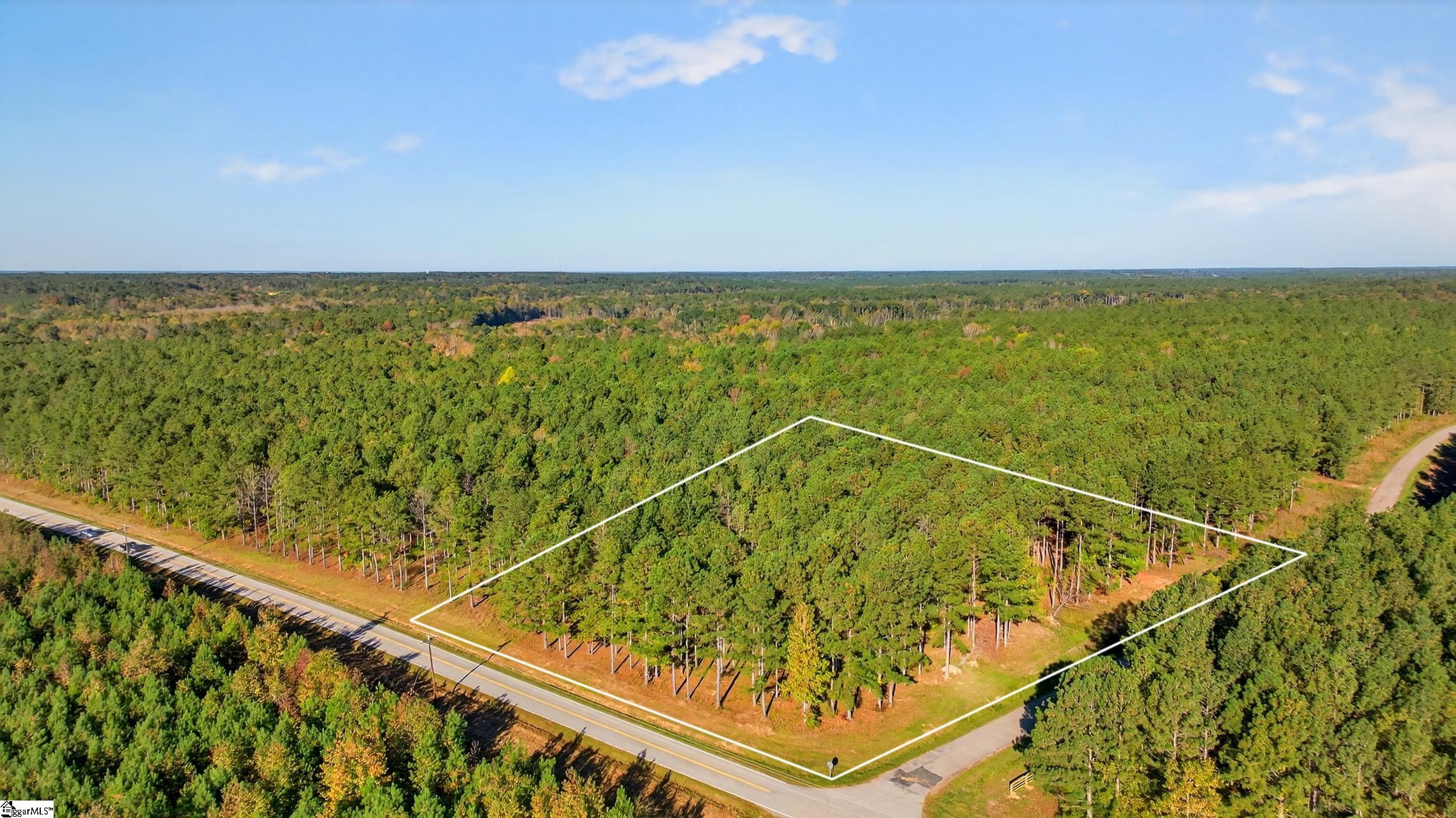 8 Garlington Road Cross Hill, SC 29332 - Photo 4 of 13