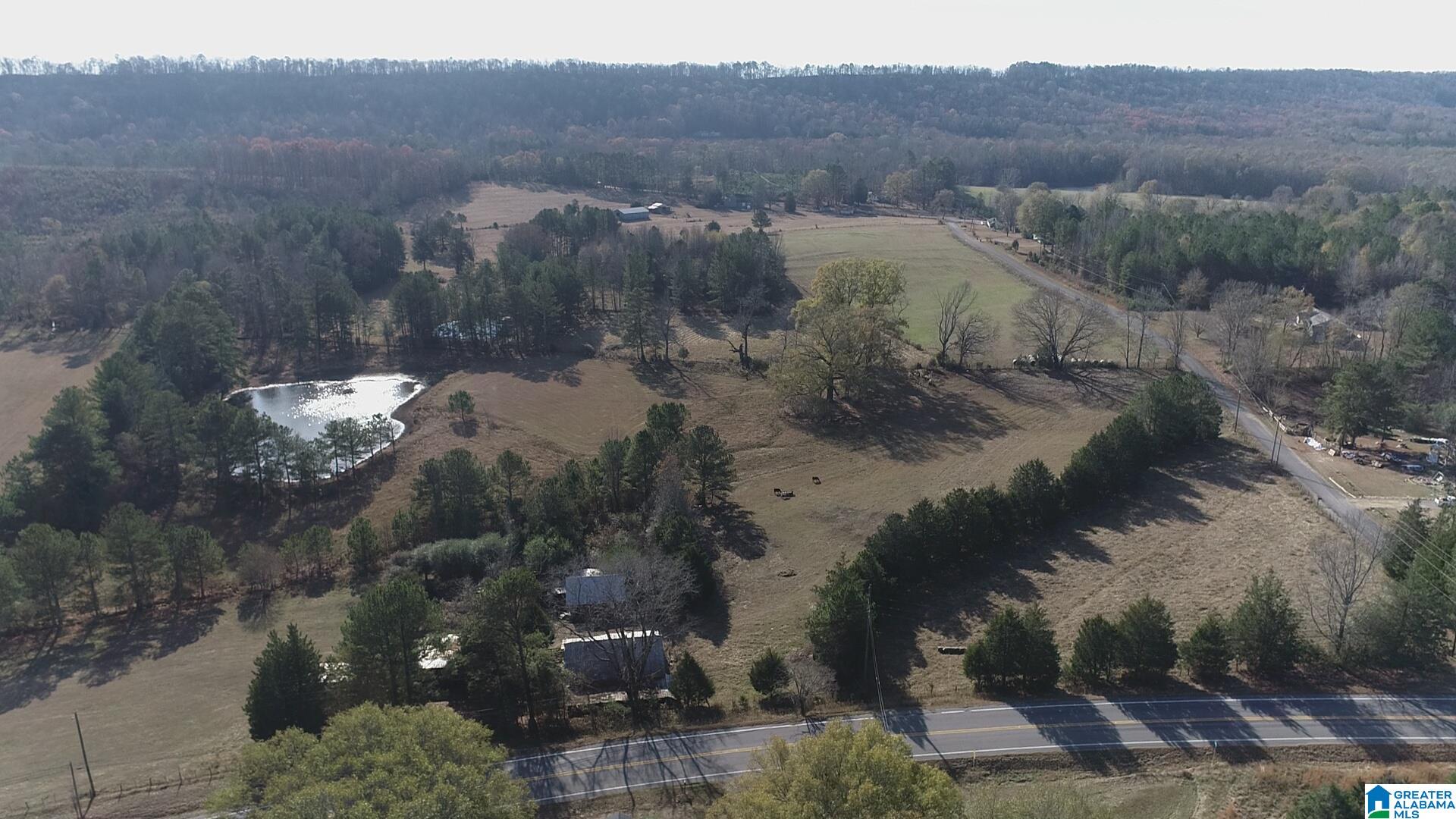0 Highway 132, Unit 11 / ACRES Oneonta, AL 35121 - Photo 15 of 18