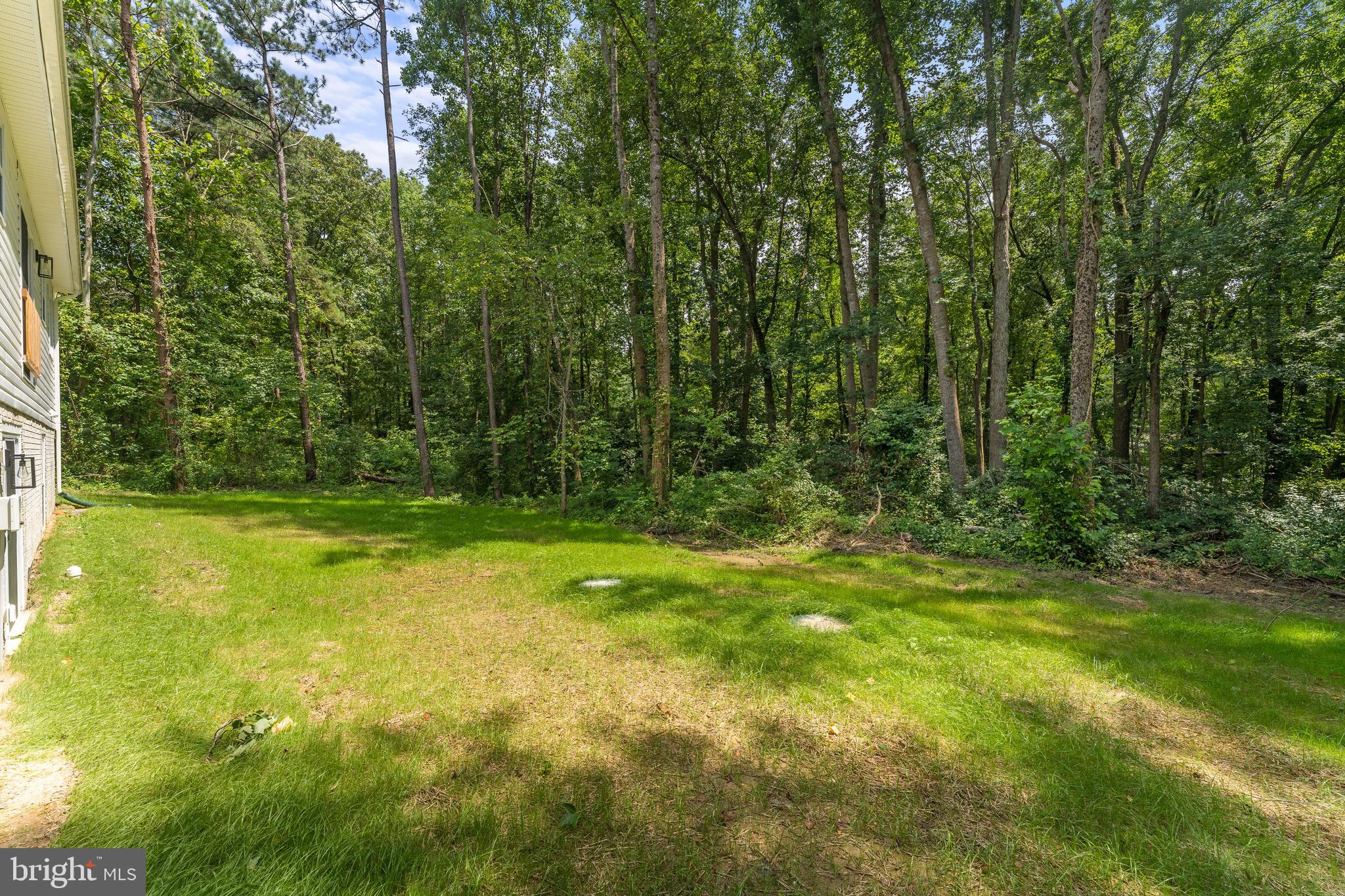 10038 Bear Lane Ruther Glen, VA 22546 - Photo 54 of 55