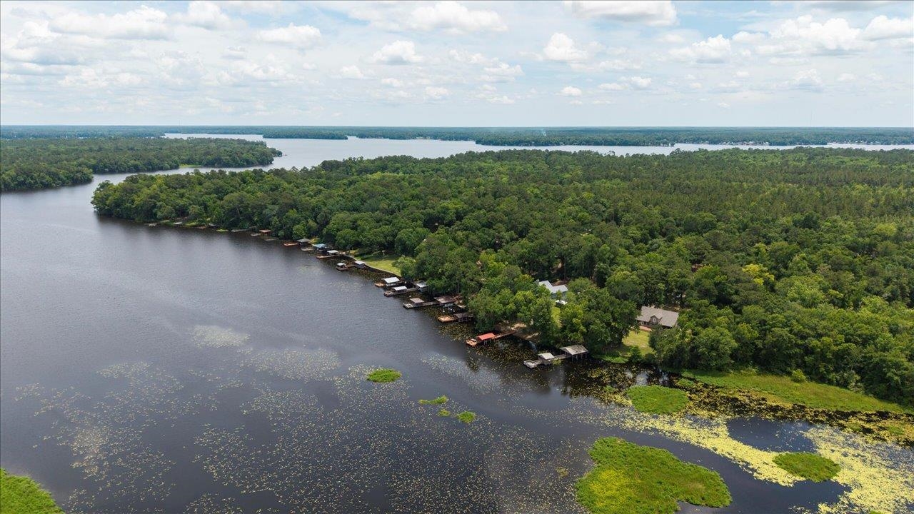 329 Gould Road Quincy, FL 32351 - Photo 12 of 42 Gallery Image 12
