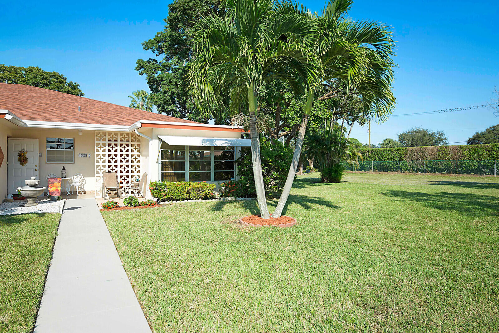a view of a backyard with a garden and plants