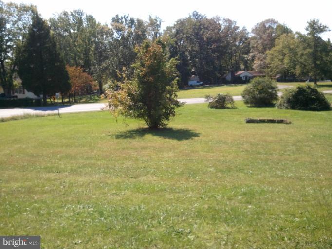 355 Hope Road Stafford, VA 22554 - Photo 11 of 11 Yard