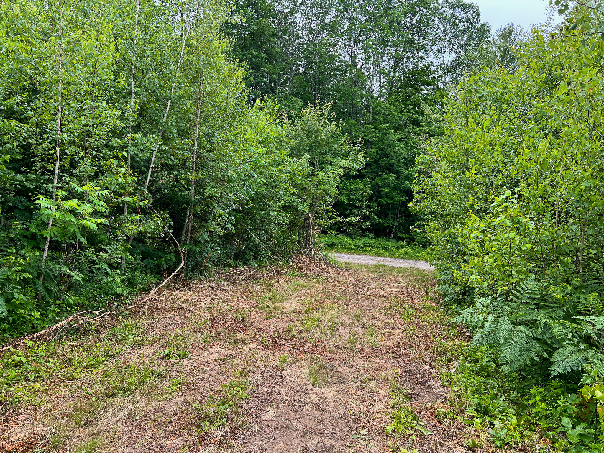 Lot 72-1 Hatstat Road Bethel, ME 04217 - Photo 13 of 18 IMG_7899