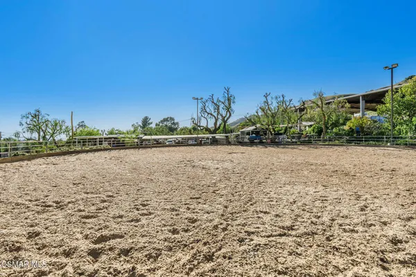 a view of a yard with palm trees