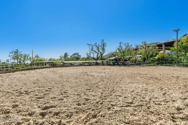 a view of a yard with palm trees