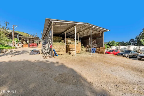a view of a backyard with plants and a patio