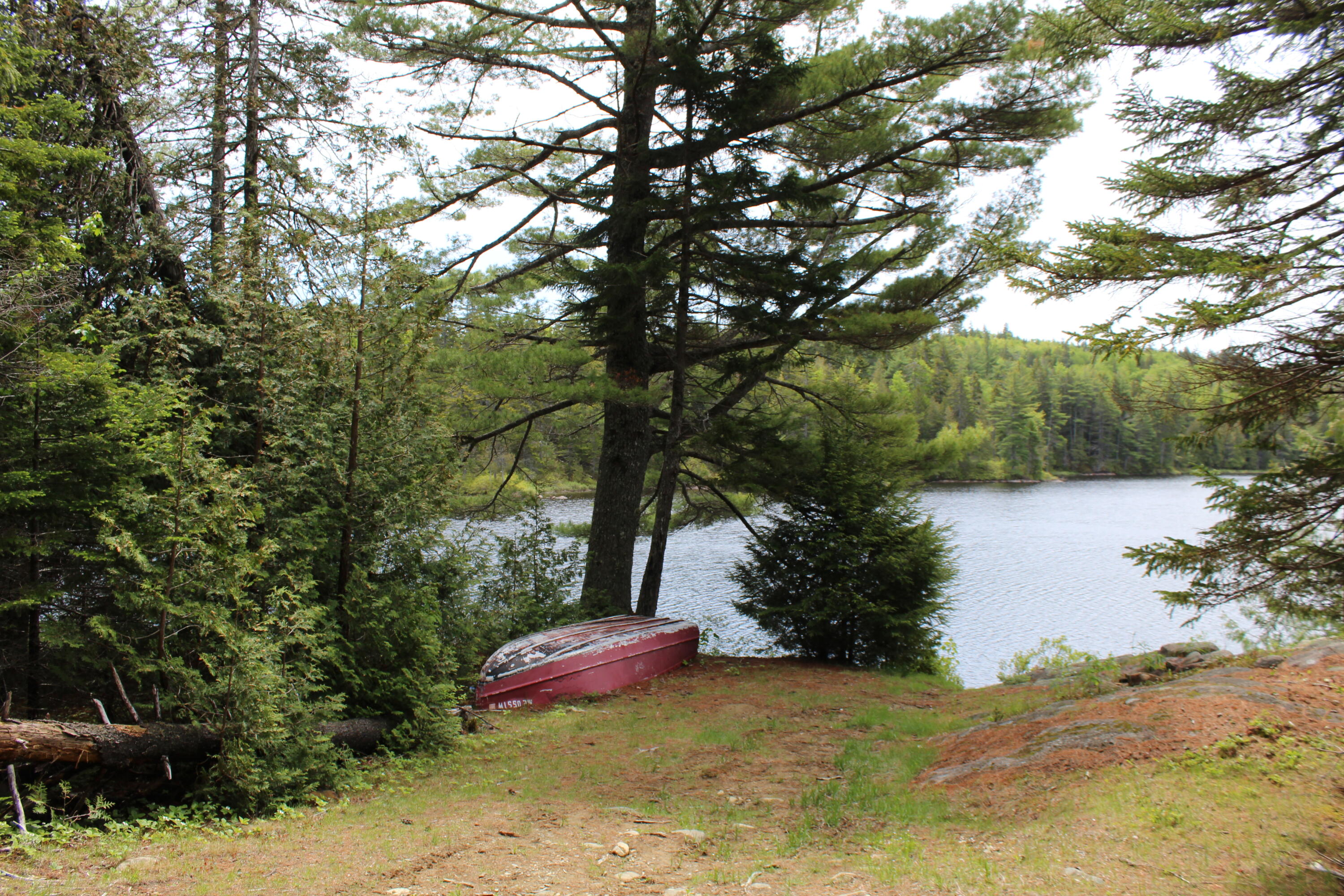 M2-l9 &10 Diffin Hill Road Robbinston, ME 04671 - Photo 2 of 66 IMG_5341