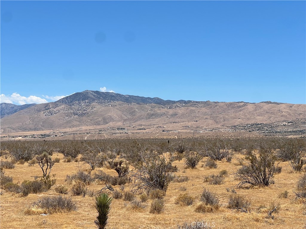 21771 1/2 Del Oro Road Apple Valley, CA 92308 - Photo 3 of 9