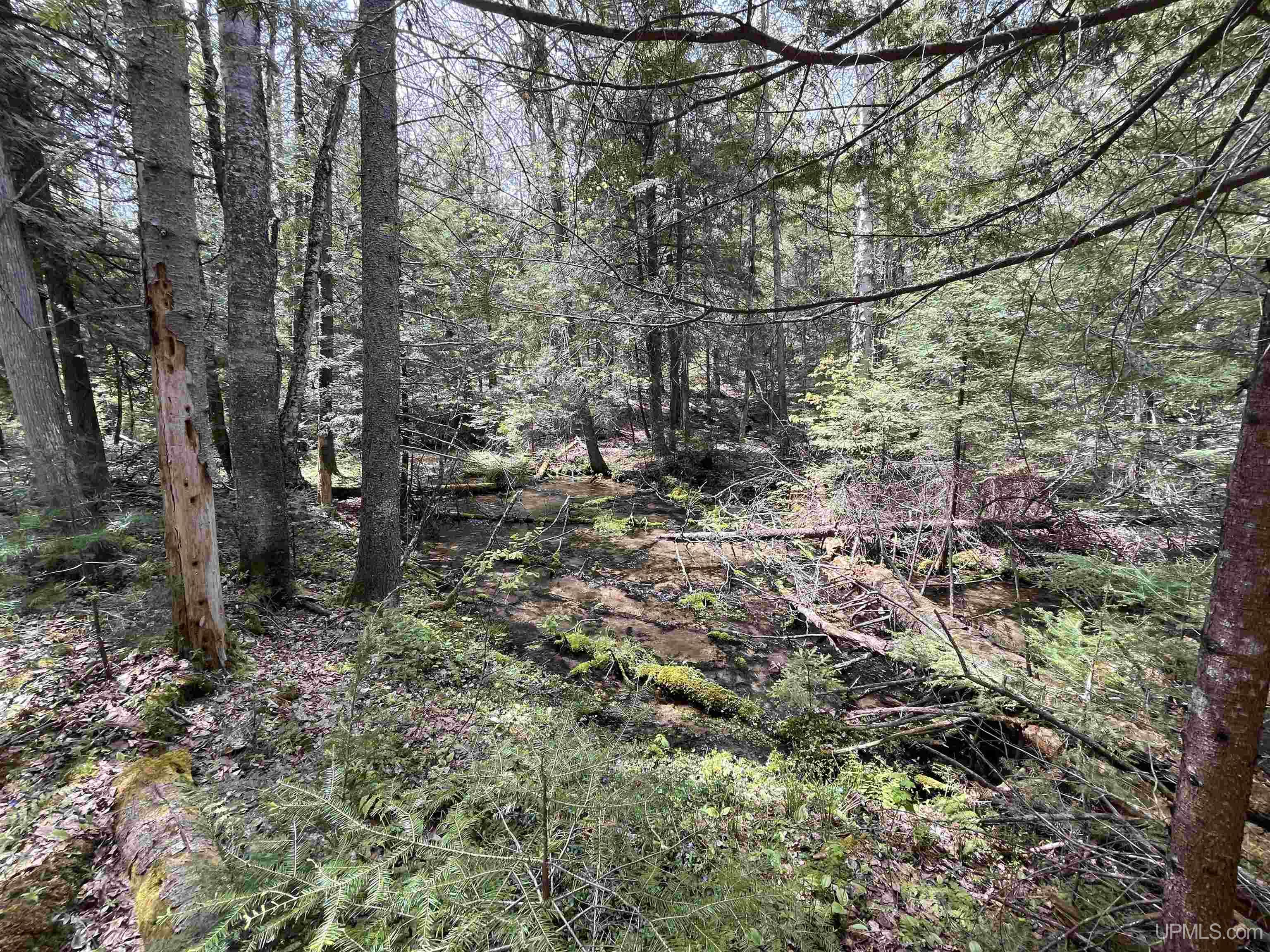 38-acres County Rd NA Road Marquette, MI 49855 - Photo 49 of 70