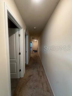 163 Redbud Road Palm Coast, FL 32137 - Photo 16 of 29