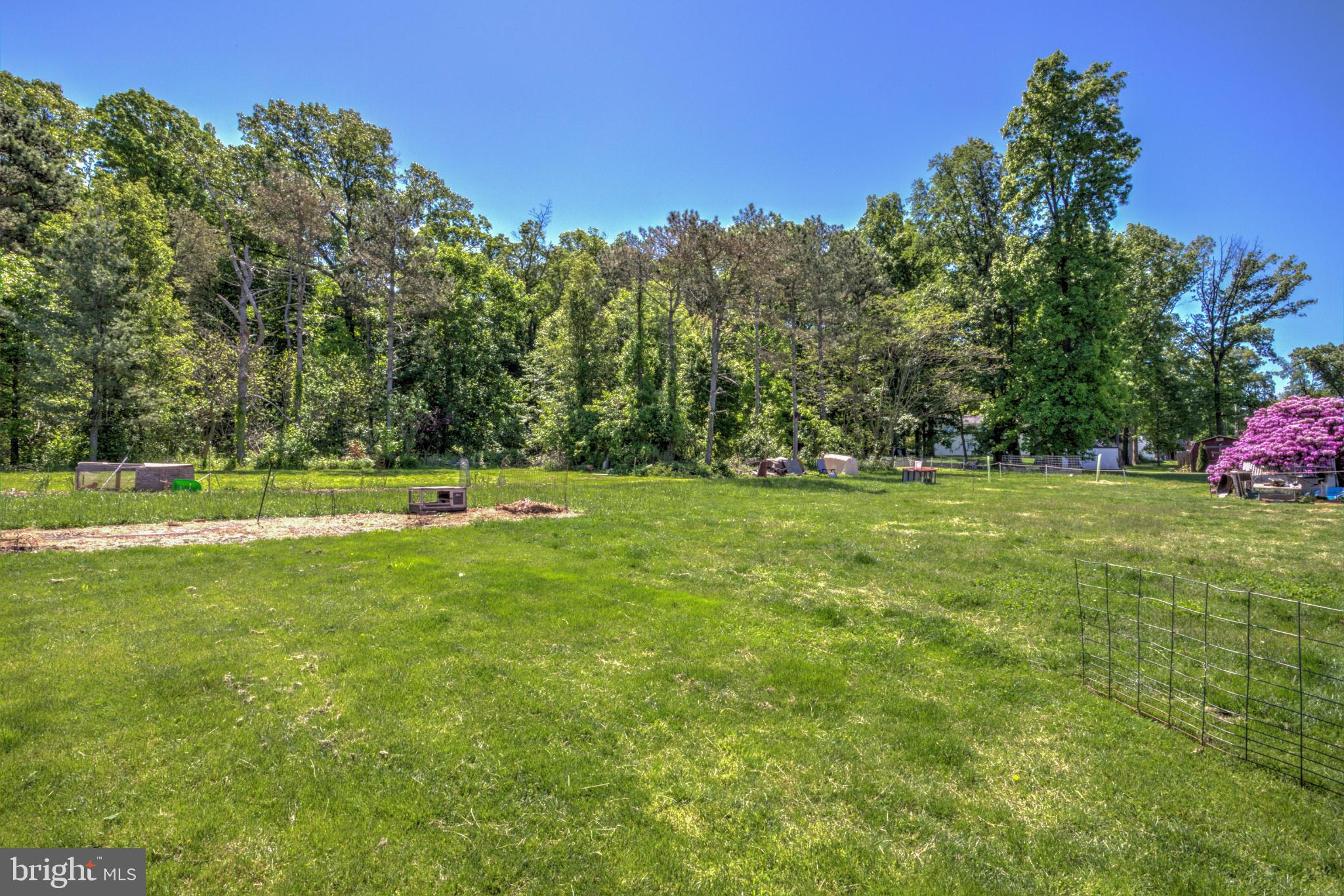 3472 Messersmith Road York, PA 17408 - Photo 12 of 41 Sprawling green oasis with vibrant trees.