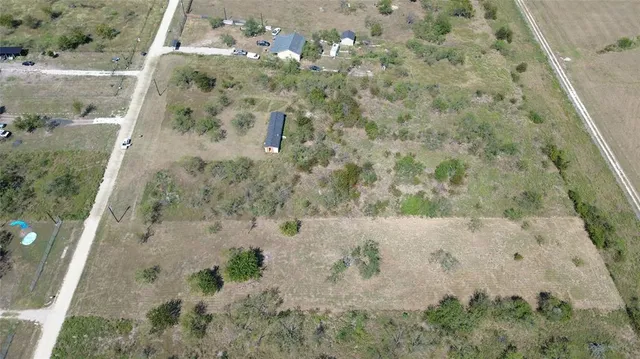 a view of a plant in a garden