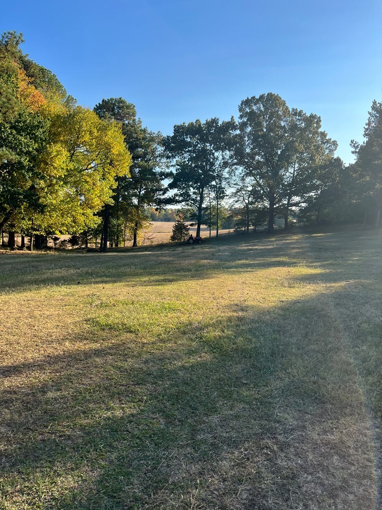 1486 Cedar Grove Road Big Sandy, TN 38221 - Photo 3 of 16 a view of an ocean and city