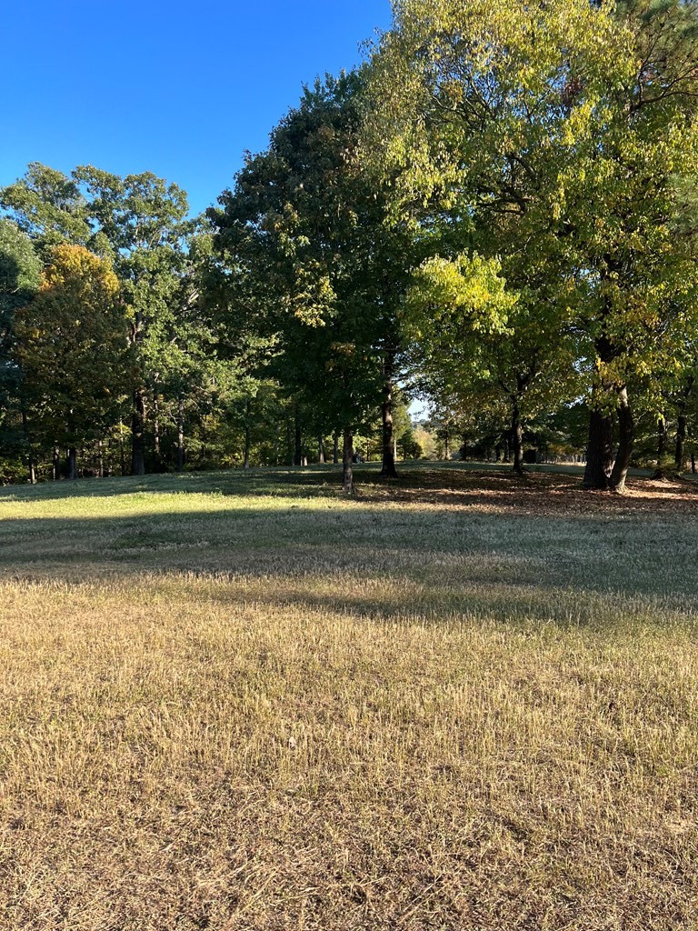 1486 Cedar Grove Road Big Sandy, TN 38221 - Photo 4 of 16 a view of a green field