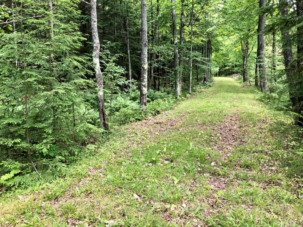 Lot 8 Shore Road Pelican Lake, WI 54463 - Photo 12 of 13 Gallery Image 12