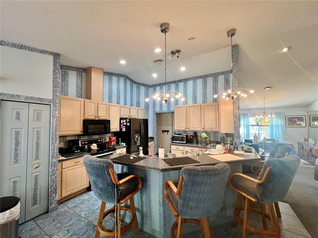 1995 East Newhaven Street Inverness, FL 34453 - Photo 33 of 45