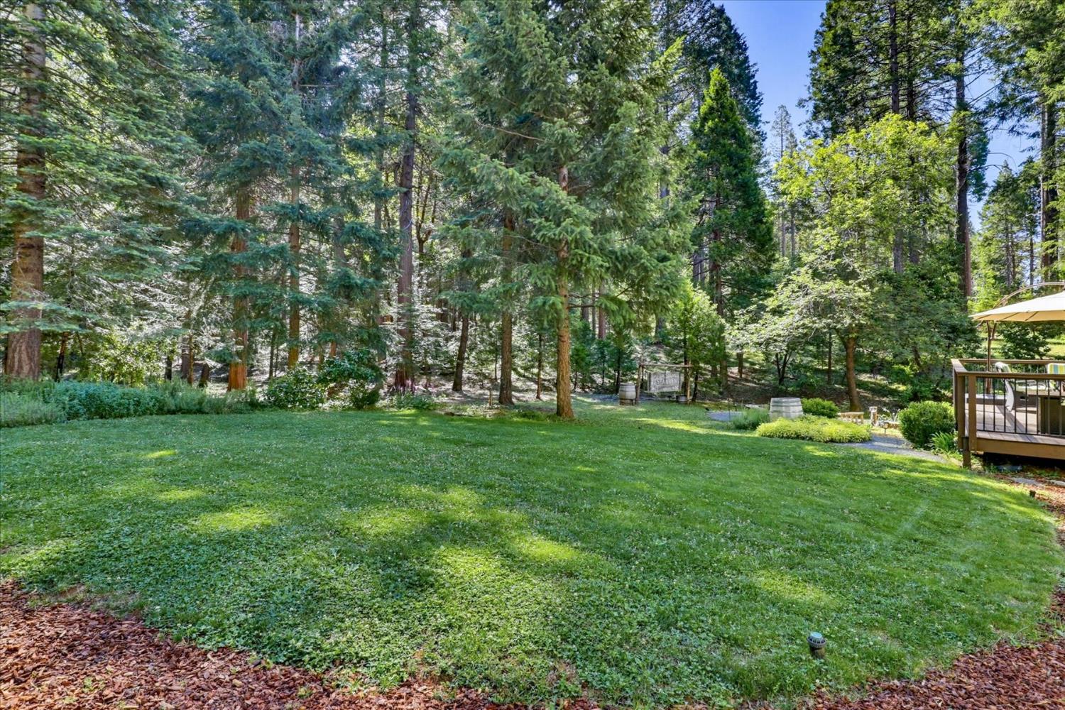 19217 Scotts Flat Road Nevada City, CA 95959 - Photo 85 of 89