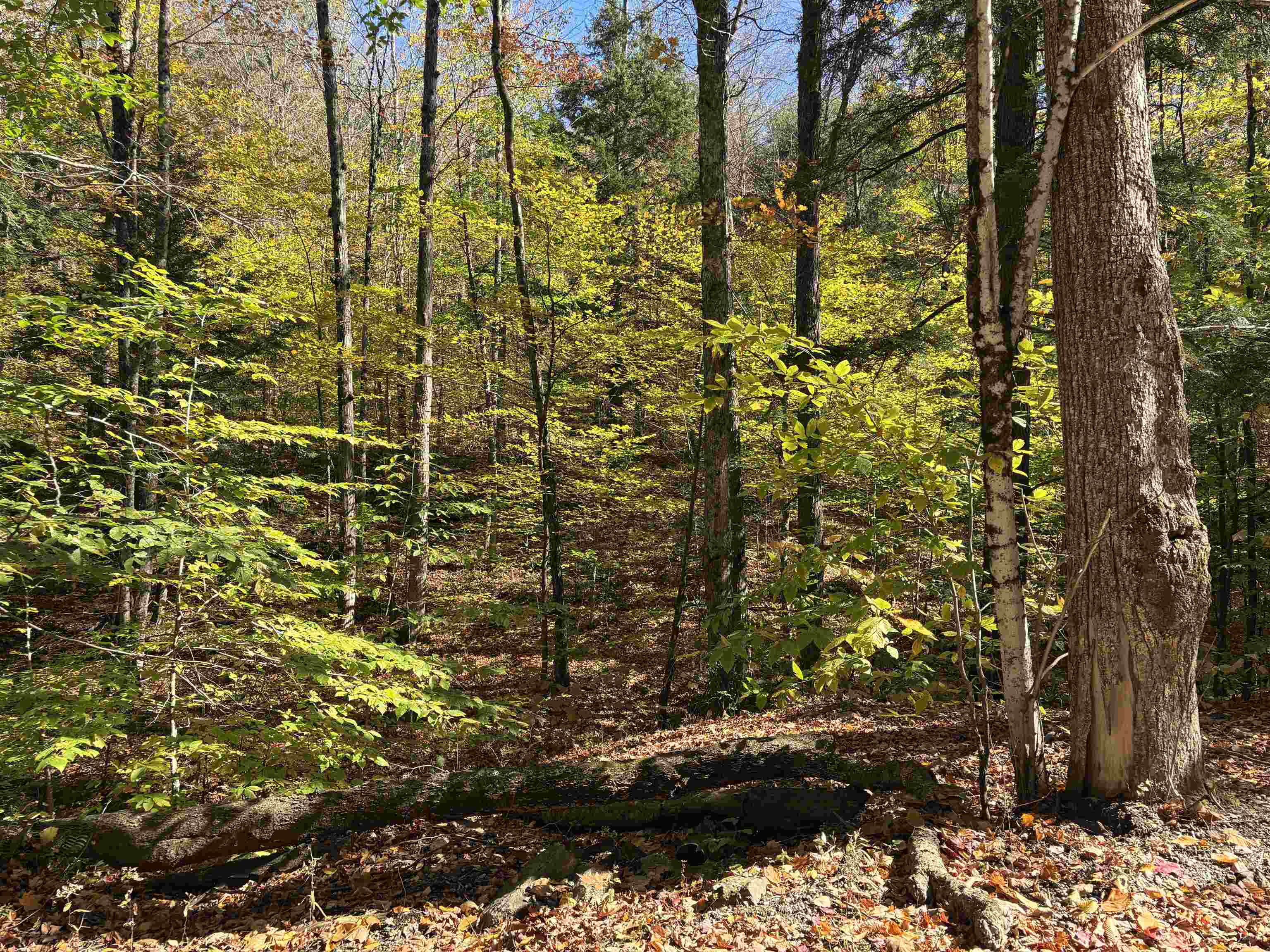 0 Quarry Road Chester, VT 05143 - Photo 18 of 25