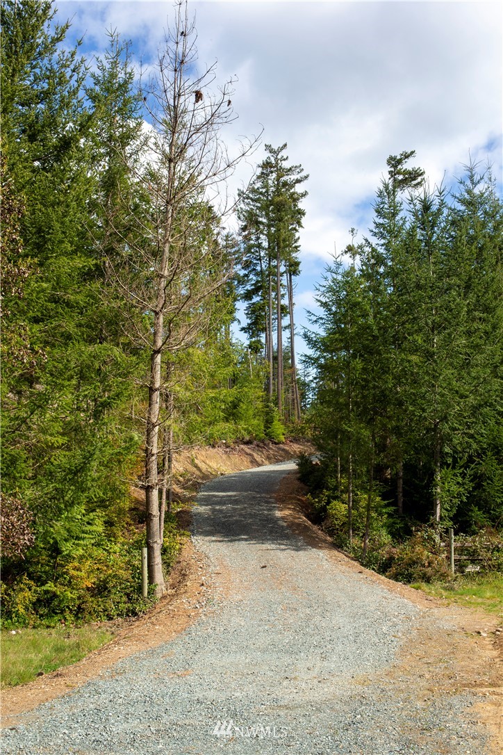 5291 South Nighthawk Road Langley, WA 98260 - Photo 8 of 31 Gallery Image 8