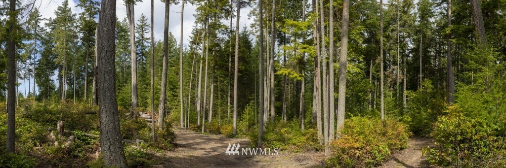5291 South Nighthawk Road Langley, WA 98260 - Photo 10 of 31 Gallery Image 10