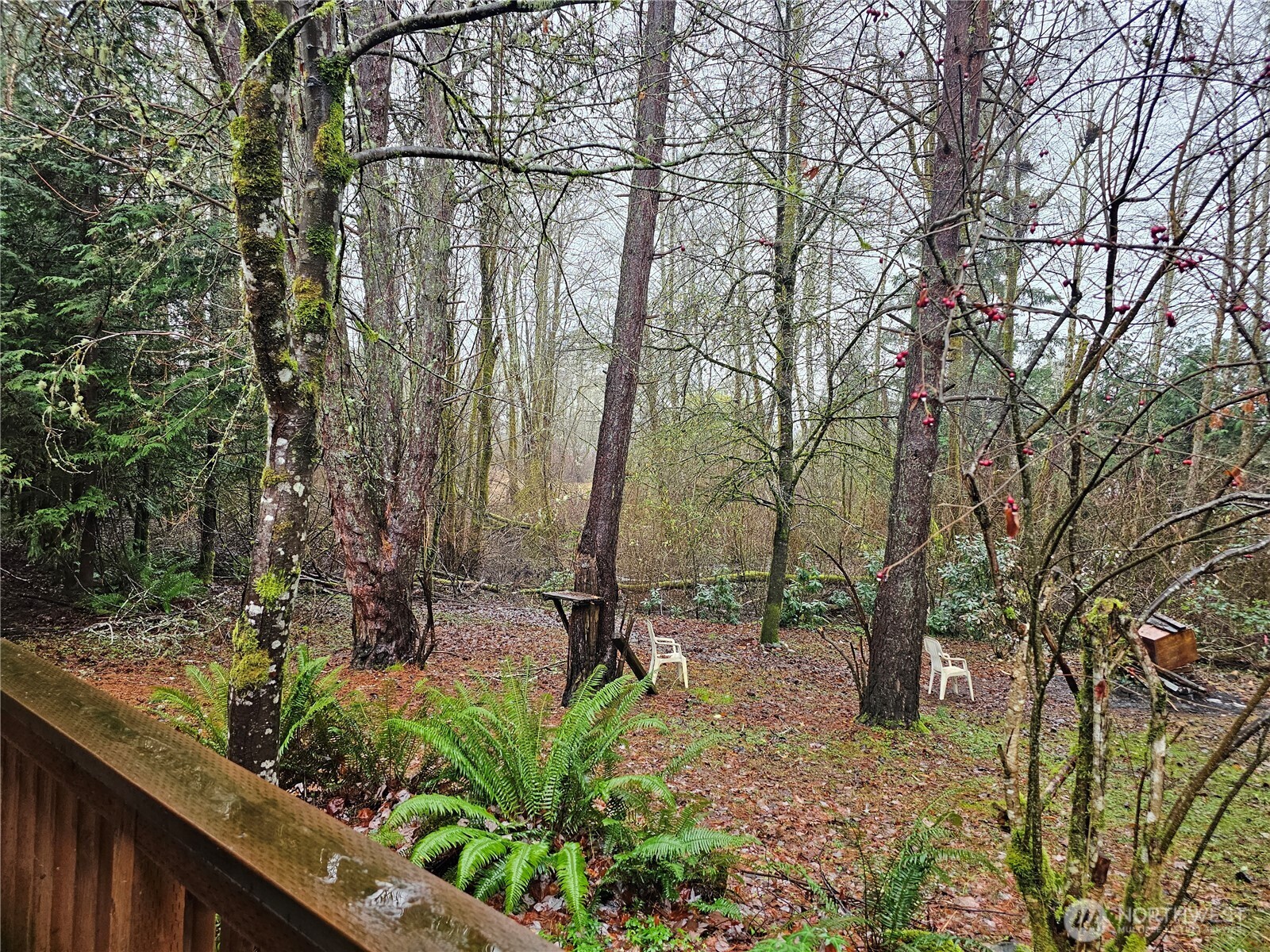 81 Satsop Riviera Loop Elma, WA 98541 - Photo 24 of 26 Gallery Image 24