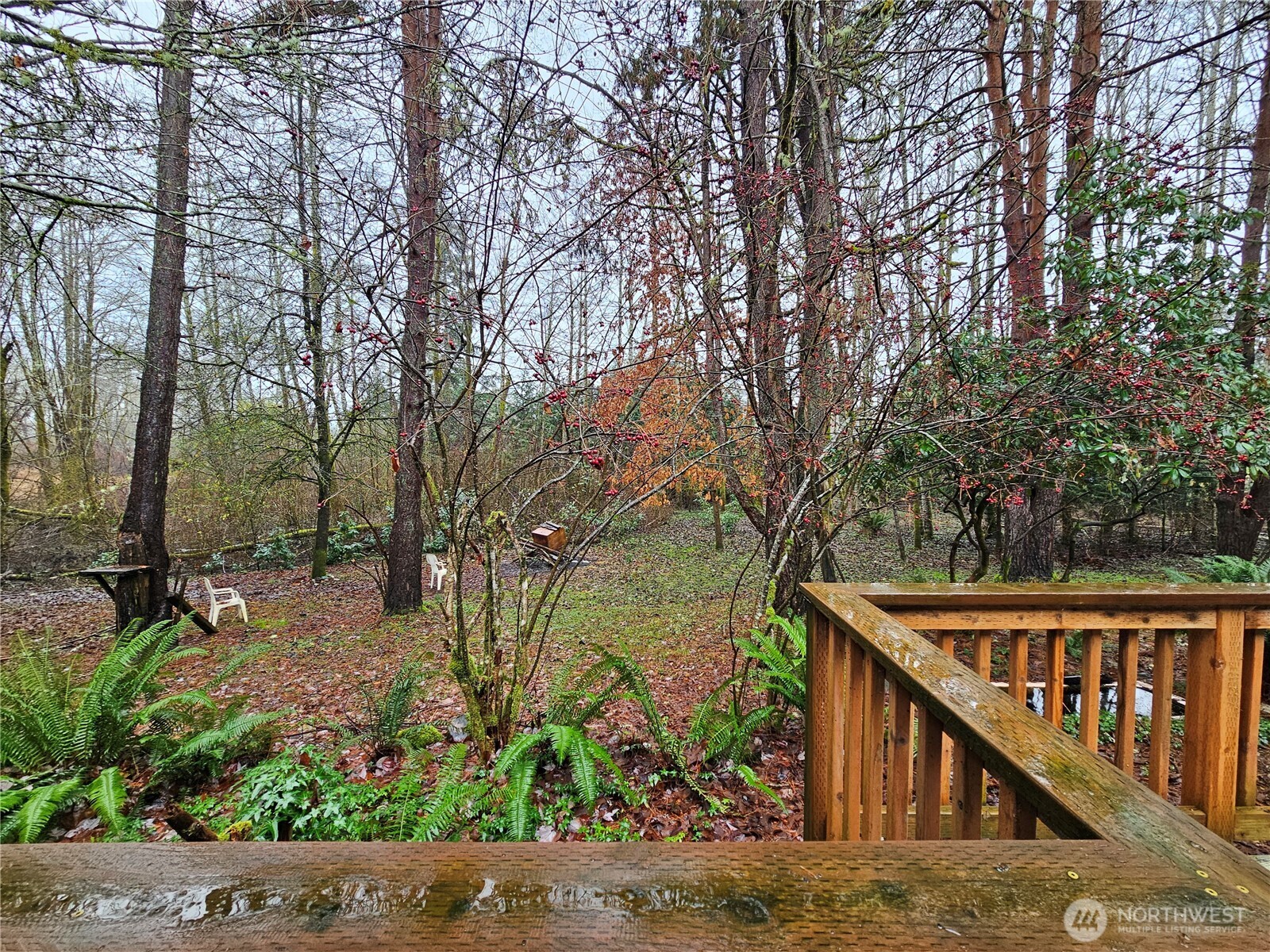 81 Satsop Riviera Loop Elma, WA 98541 - Photo 25 of 26 Gallery Image 25