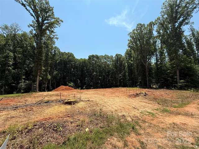 a street view with trees