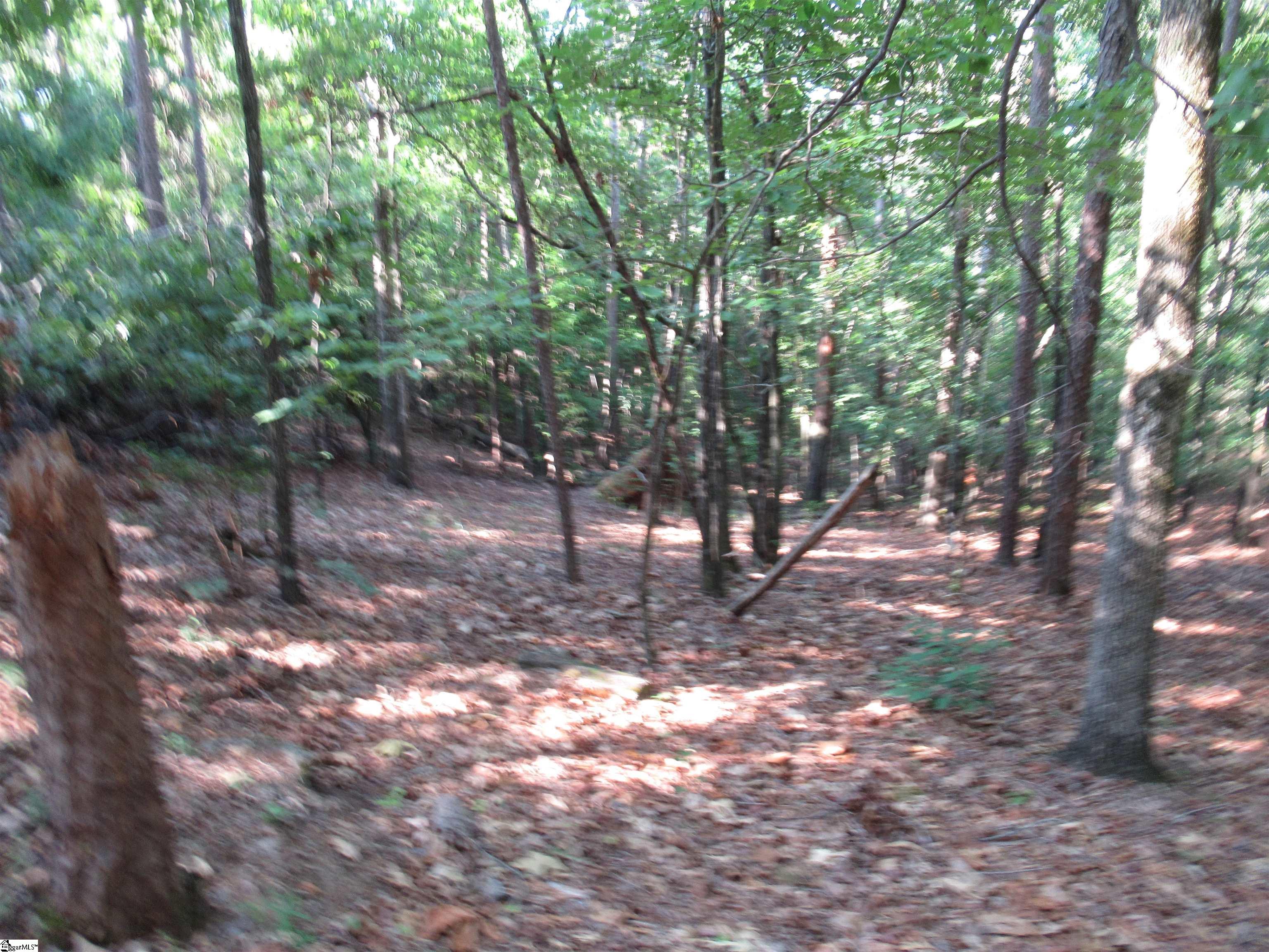 0 Murphy Road, Unit 3 2 ACRES S SIDE MURPHY RD Sunset, SC 29685 - Photo 10 of 20