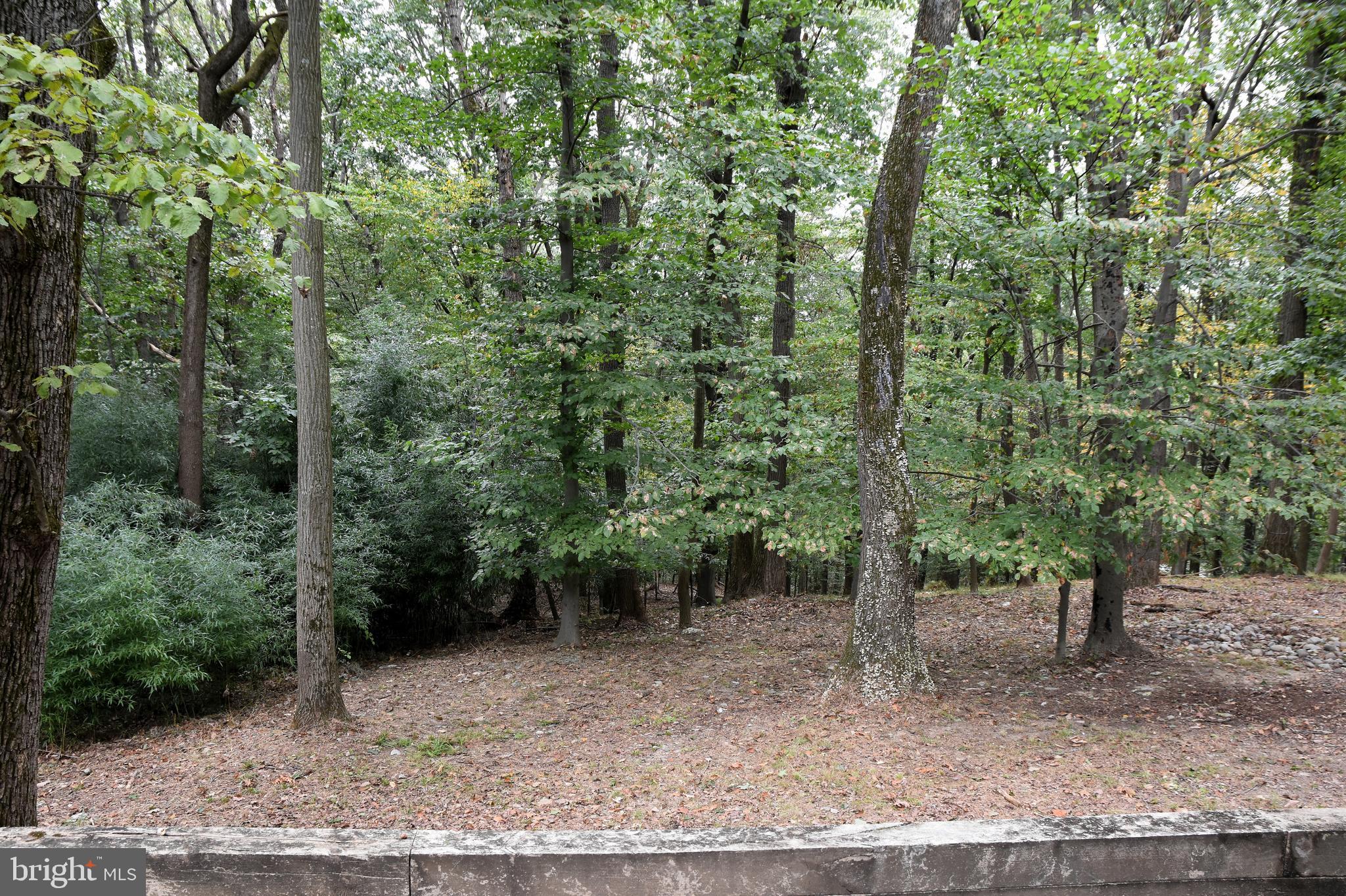 211 Vincent Road Paoli, PA 19301 - Photo 28 of 28 Gallery Image 28
