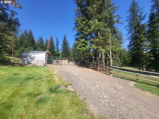 a view of a field with tree s