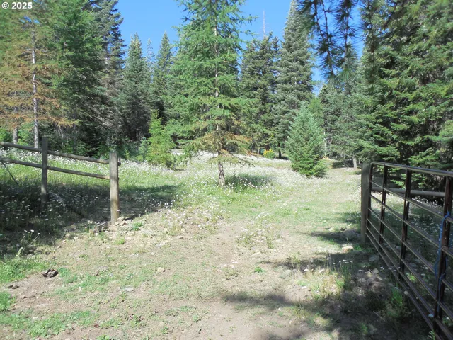 a view of backyard with green space