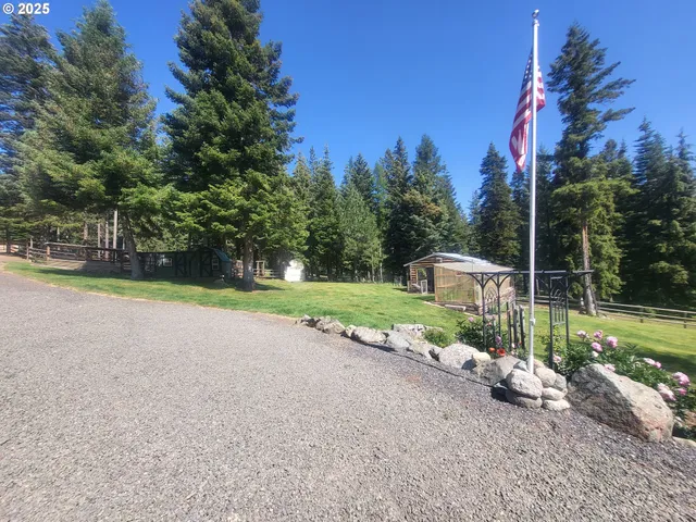 a view of a park with large trees