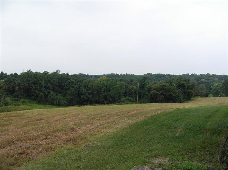 10318 Washington Trace Road California, KY 41007 - Photo 17 of 17