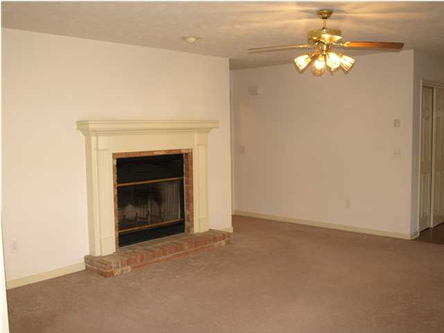 312 Waterfall Way Clinton, MS 39056 - Photo 6 of 18 Another angle of the fireplace.