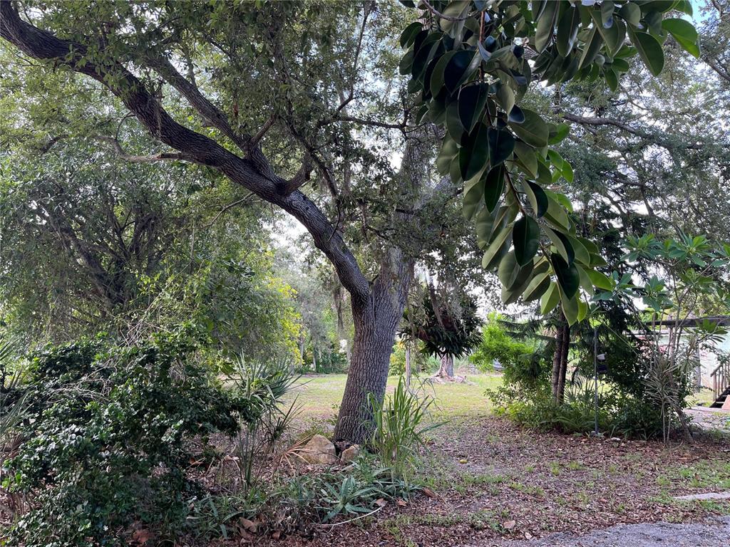 903 Anderson Road Nokomis, FL 34275 - Photo 6 of 19 Gallery Image 6