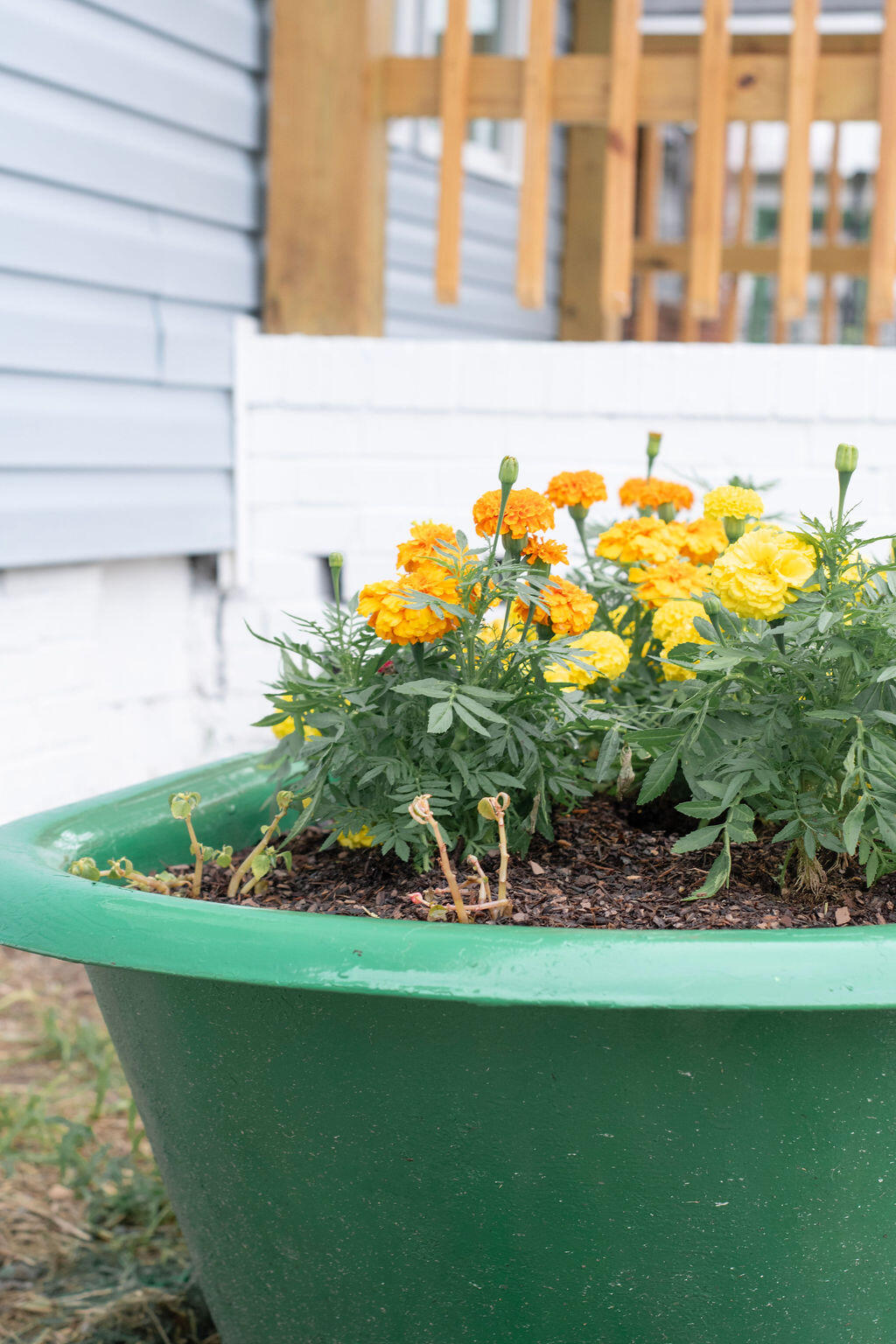 1151 Roselle Street Augusta, GA 30901 - Photo 41 of 43 DSC_3472