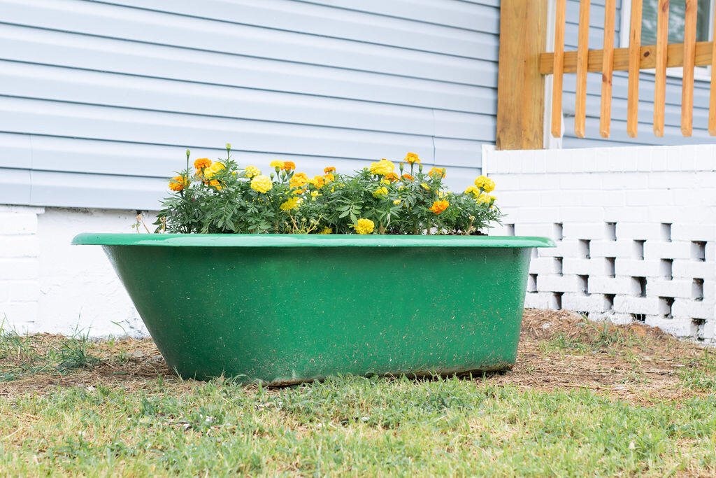 1151 Roselle Street Augusta, GA 30901 - Photo 42 of 43 DSC_3471