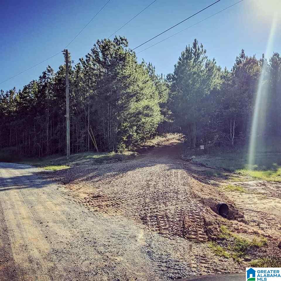 Lot 9 Highway 69 Chelsea Al, Unit 9 Chelsea, AL 35043 - Photo 5 of 6