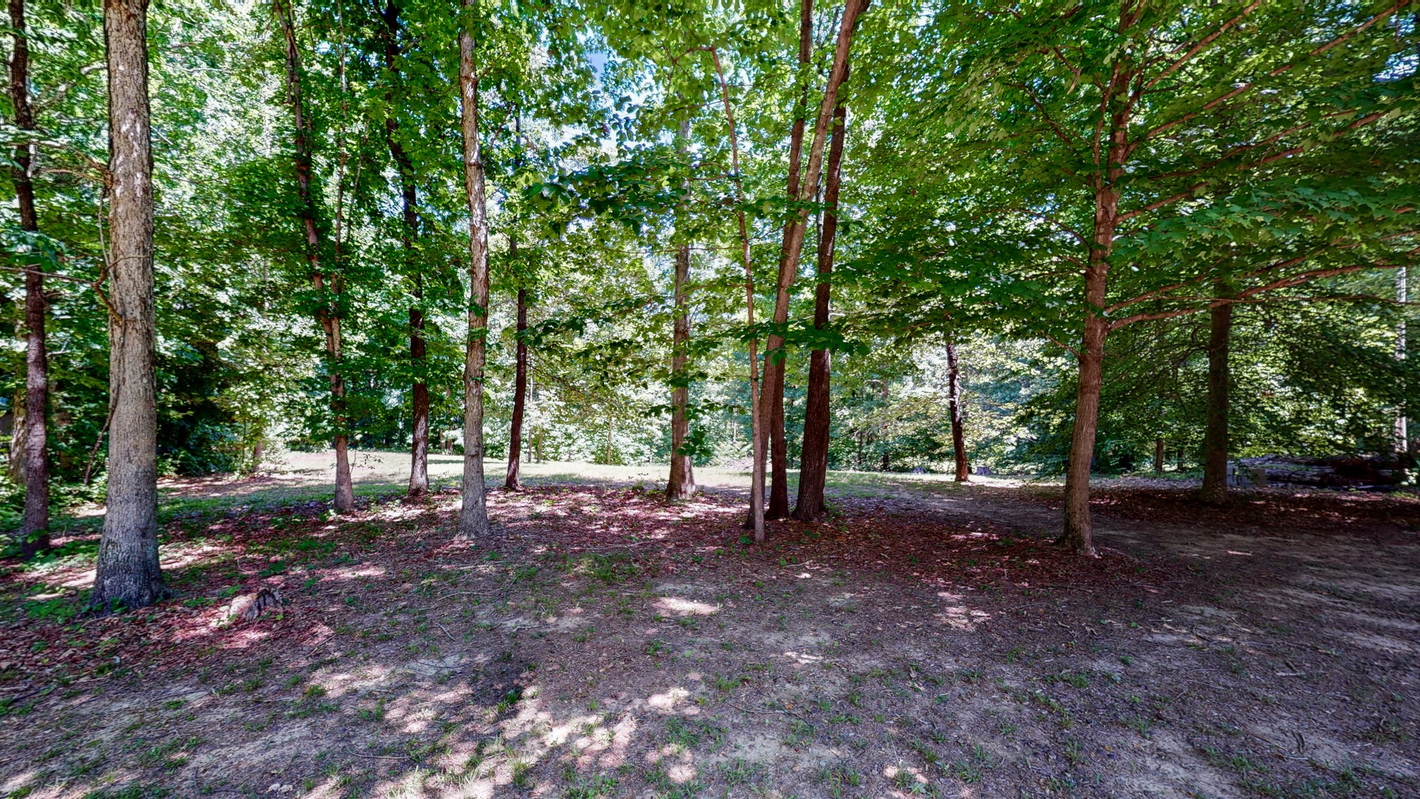 696 A Northup Road Portland, TN 37148 - Photo 1 of 5 a view of some trees in the forest