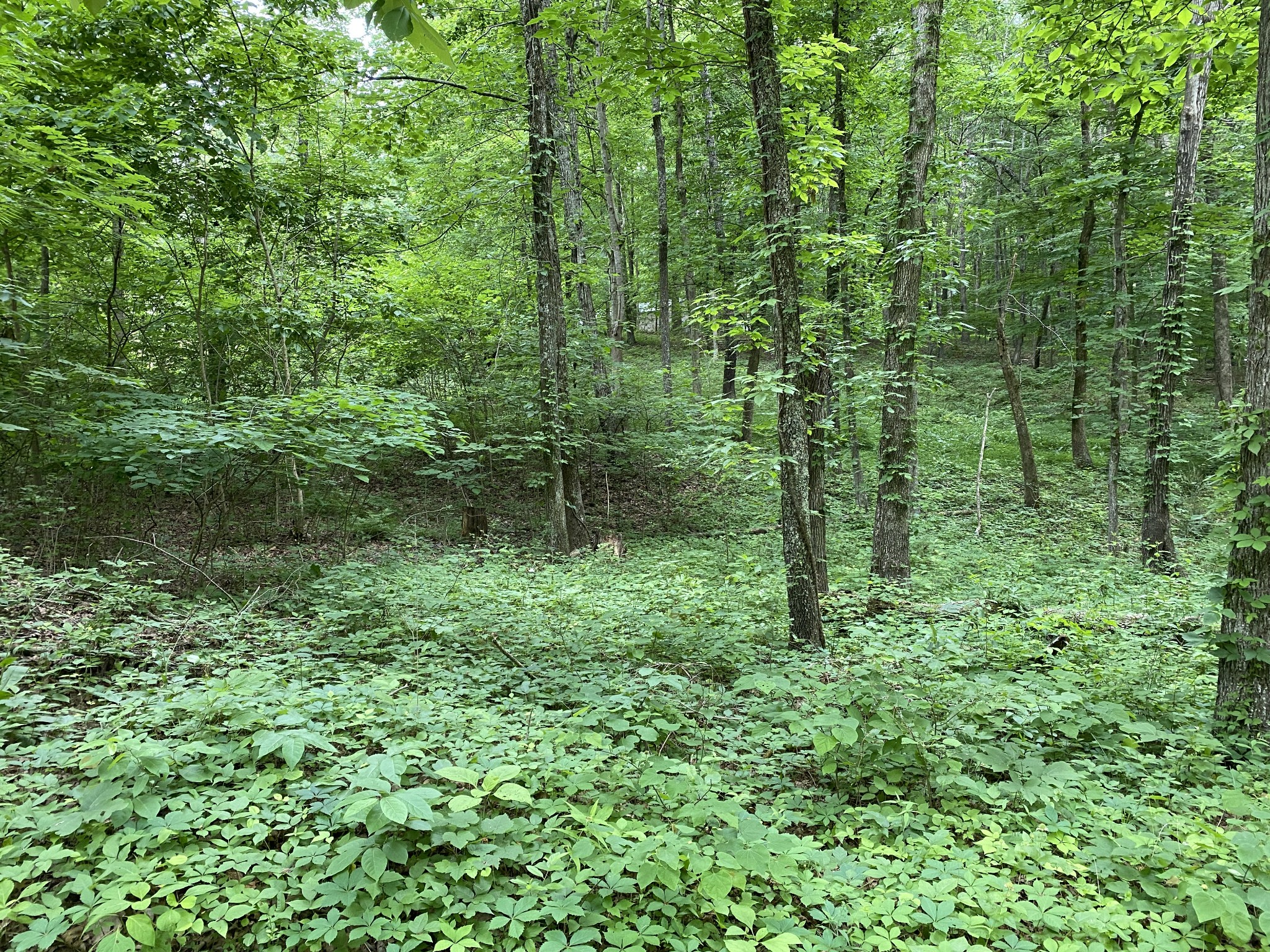 696 A Northup Road Portland, TN 37148 - Photo 2 of 5