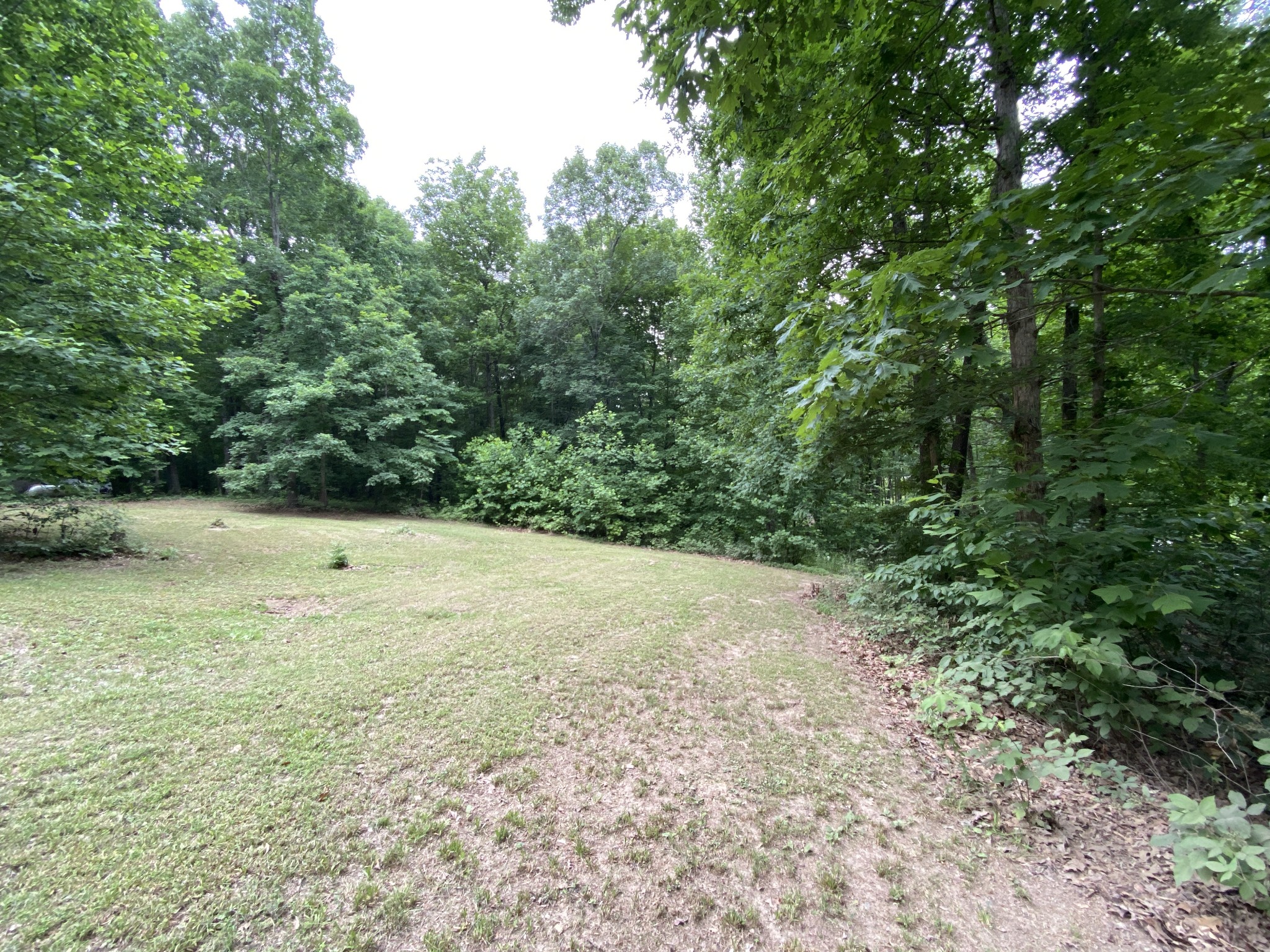 696 A Northup Road Portland, TN 37148 - Photo 4 of 5 a view of a yard with a tree