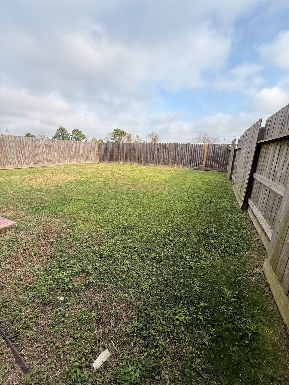 19410 Bold River Road Tomball, TX 77375 - Photo 25 of 25 a view of a big yard with an outdoor seating