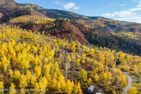 a view of under a large tree